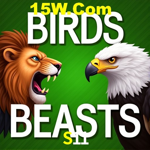 S11 Curitiba - Live Status