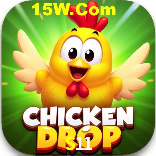 S11 Rio de Janeiro - Bonus Terms