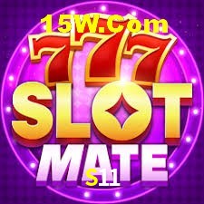 Security Systems S11