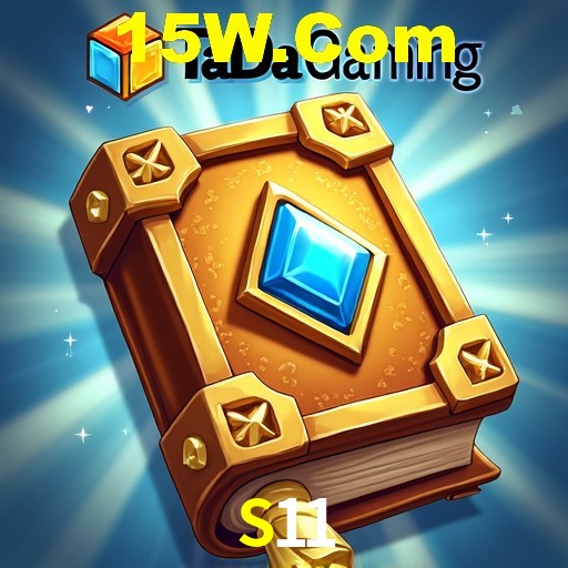 Interface Premium S11