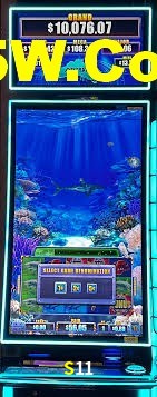 Sports Statistics S11